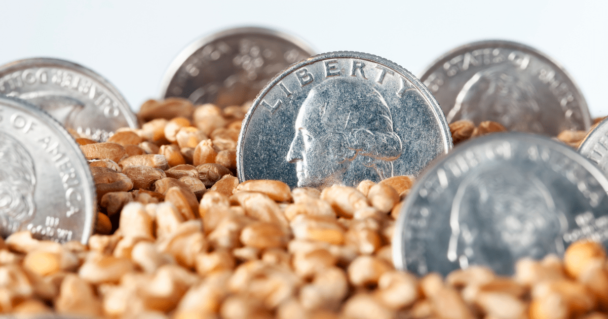 difference between saving and investing